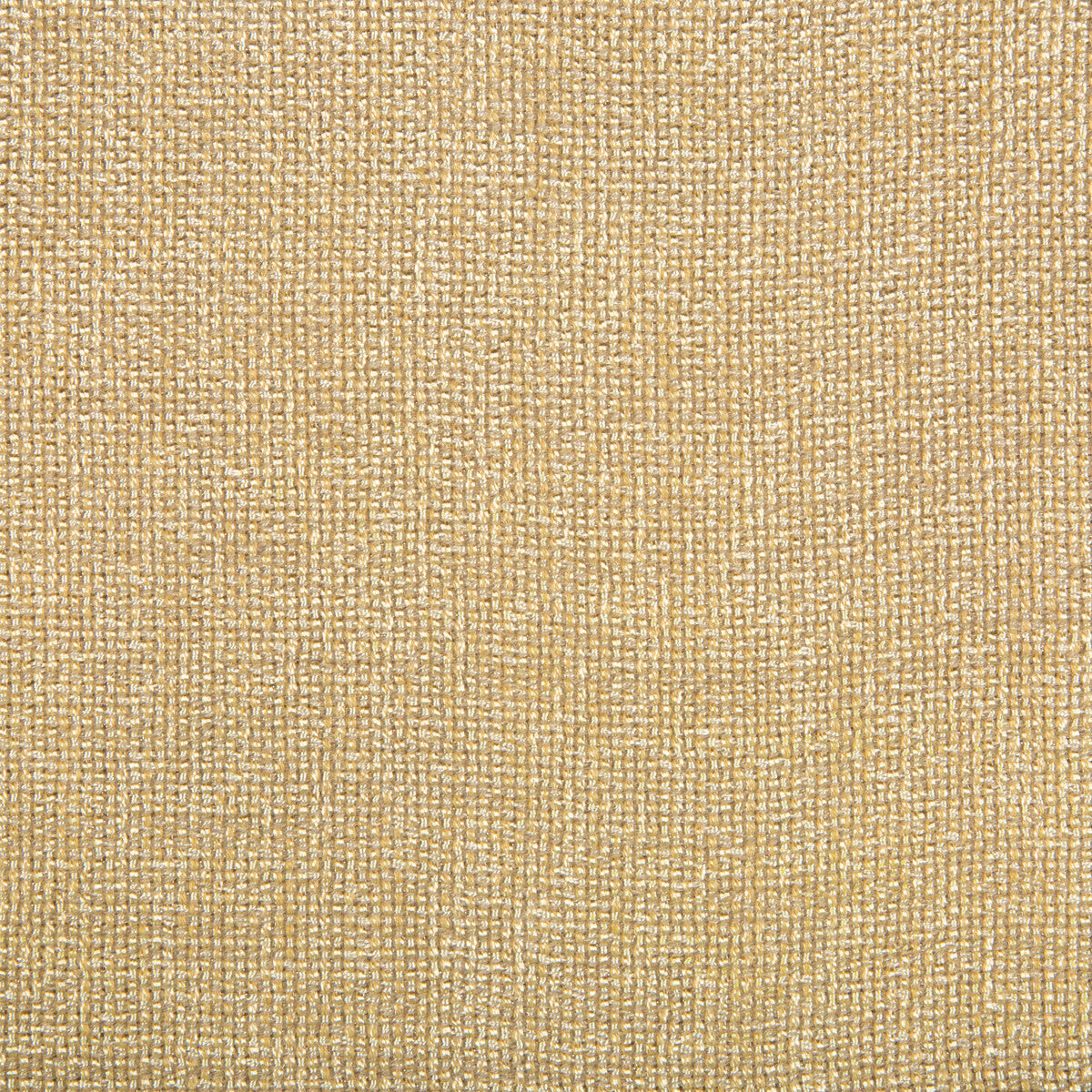 Kravet Contract-4458-16