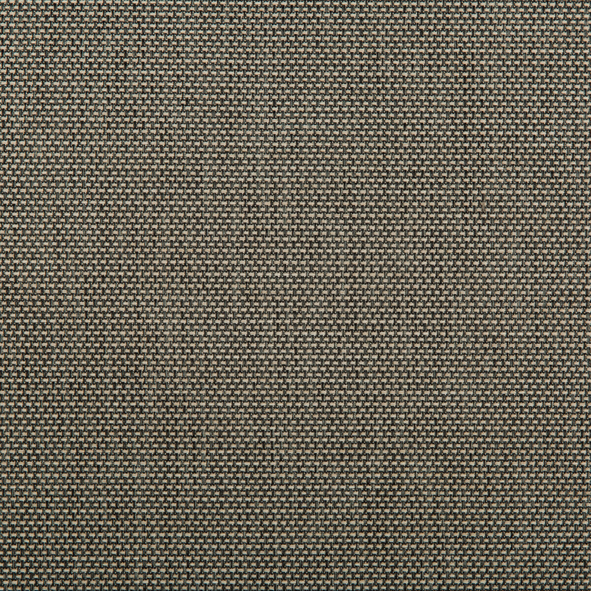 Kravet Contract-4645-1621