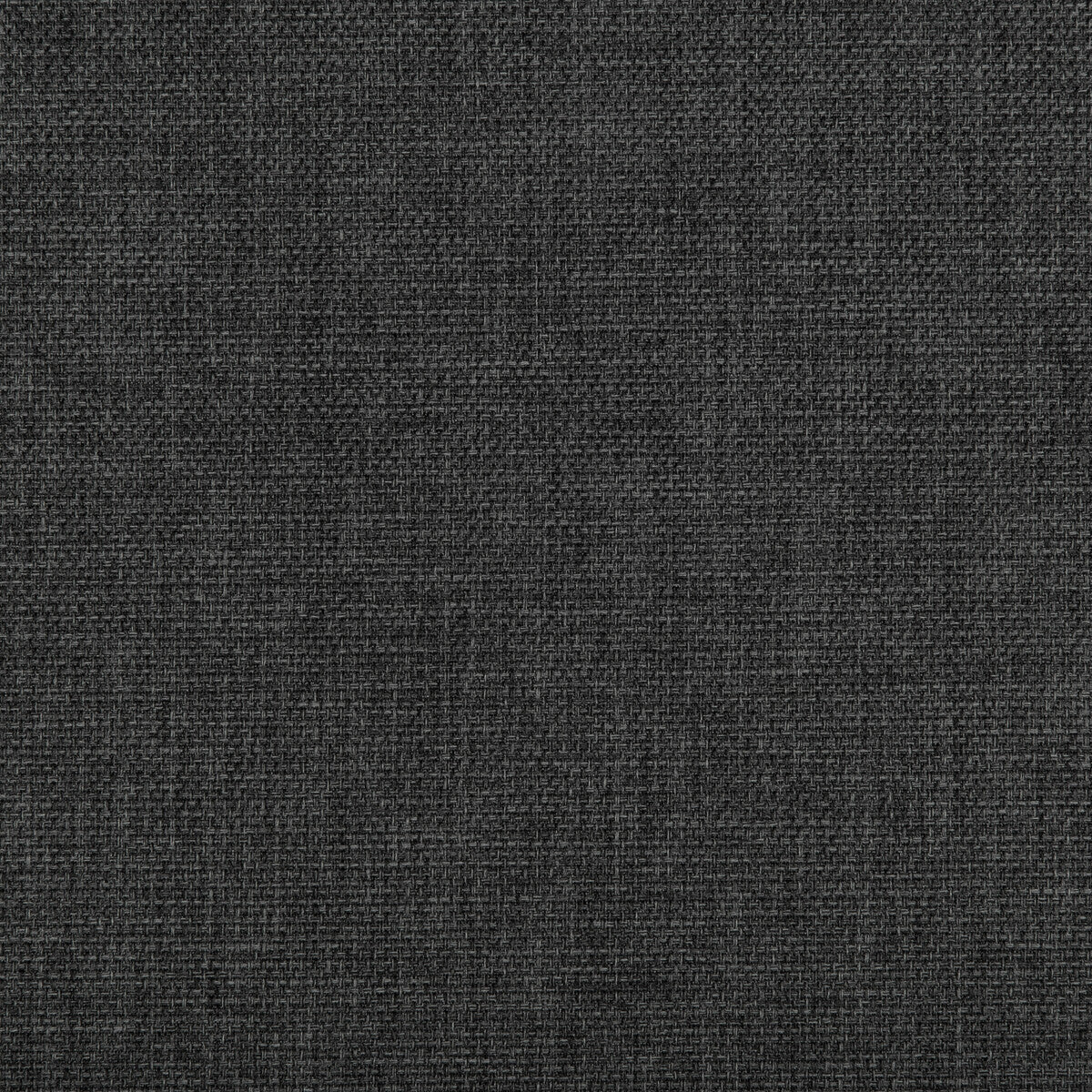 Kravet Contract-4645-21