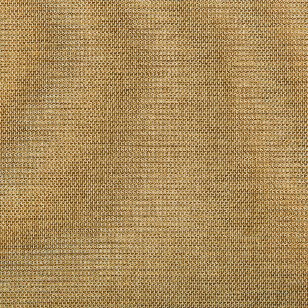 Kravet Contract-4645-416