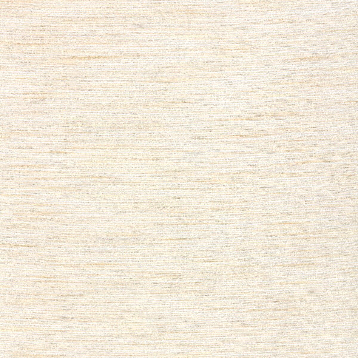 Kravet Basics-4671-111