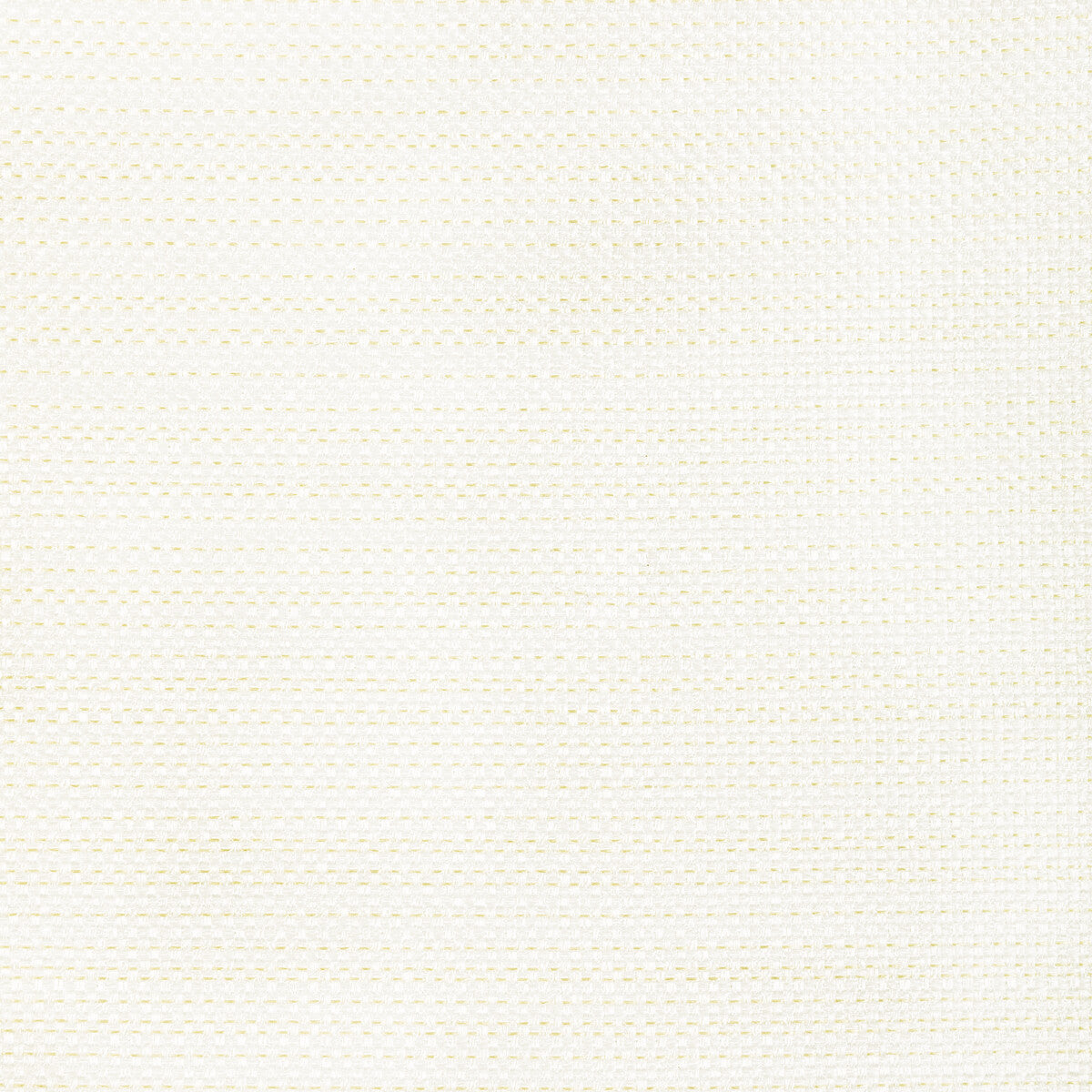 Luma Texture-Fossil