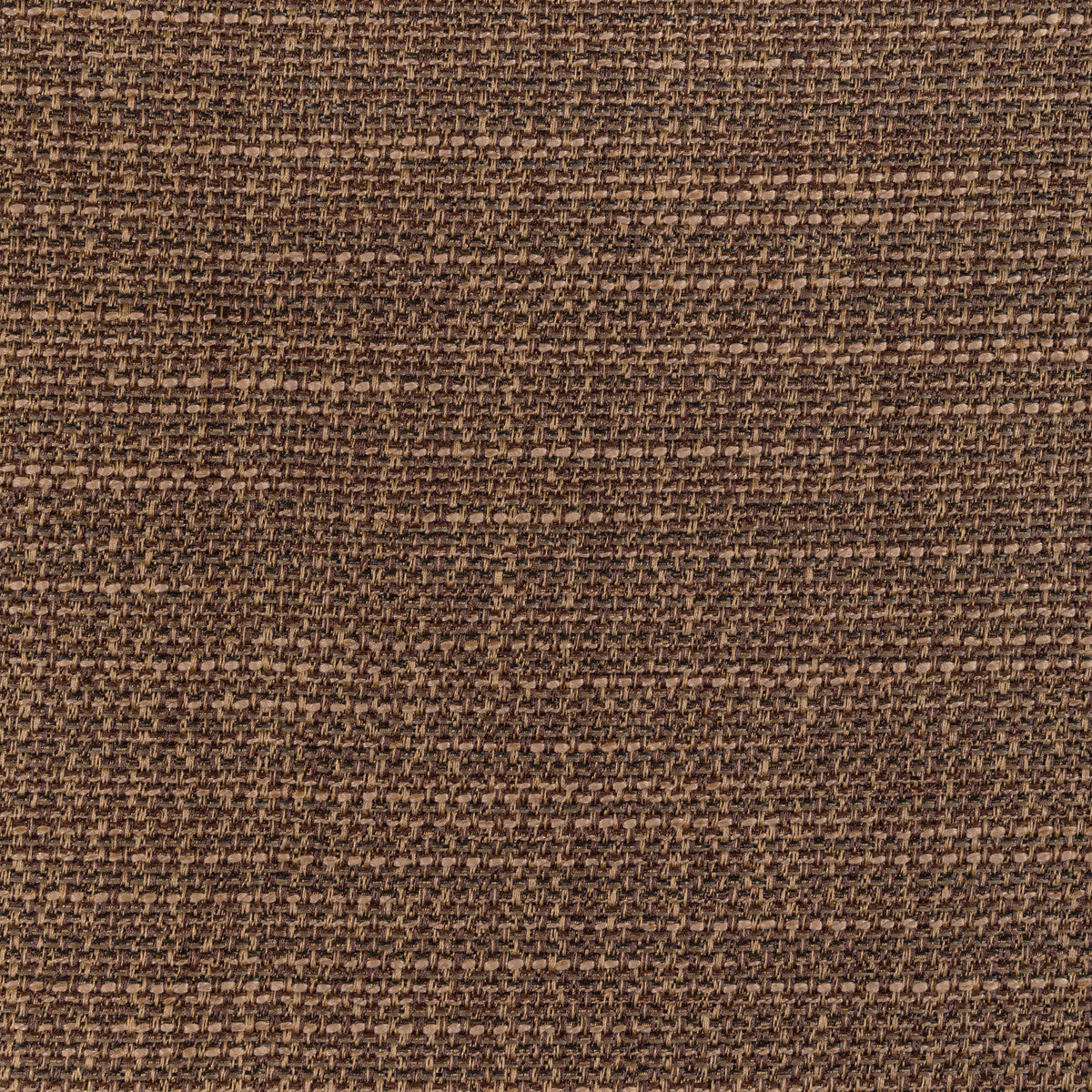 Luma Texture-Tortoise