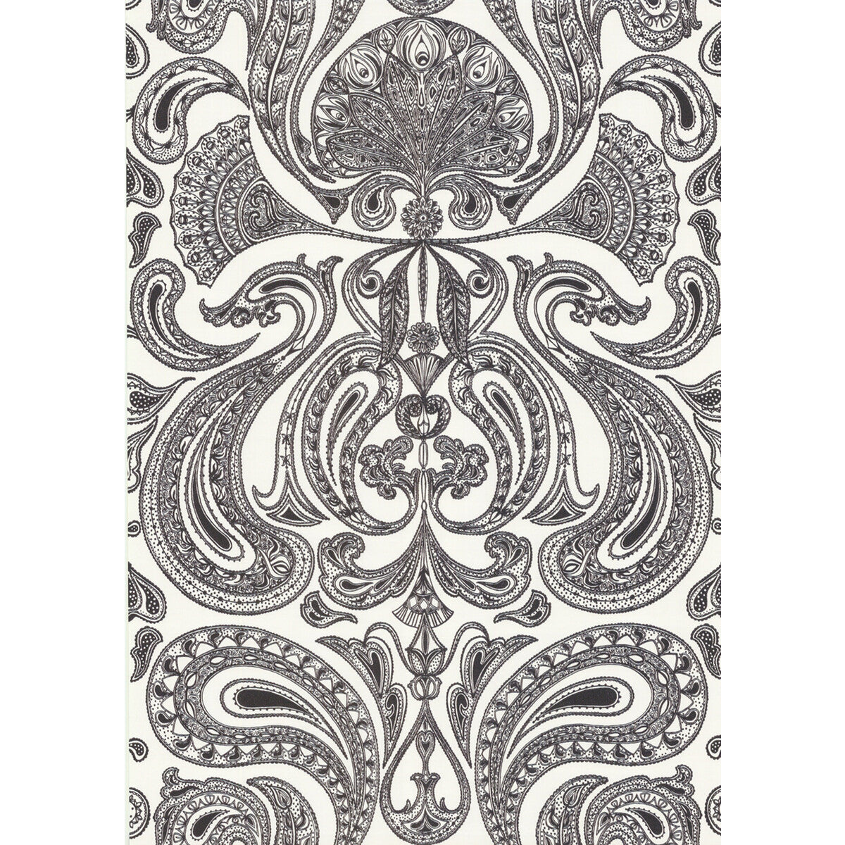 Malabar-White/B