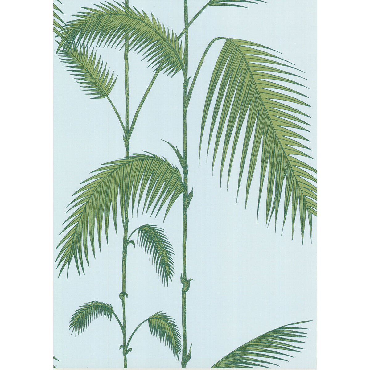 Palm Leaves-Pale Bl