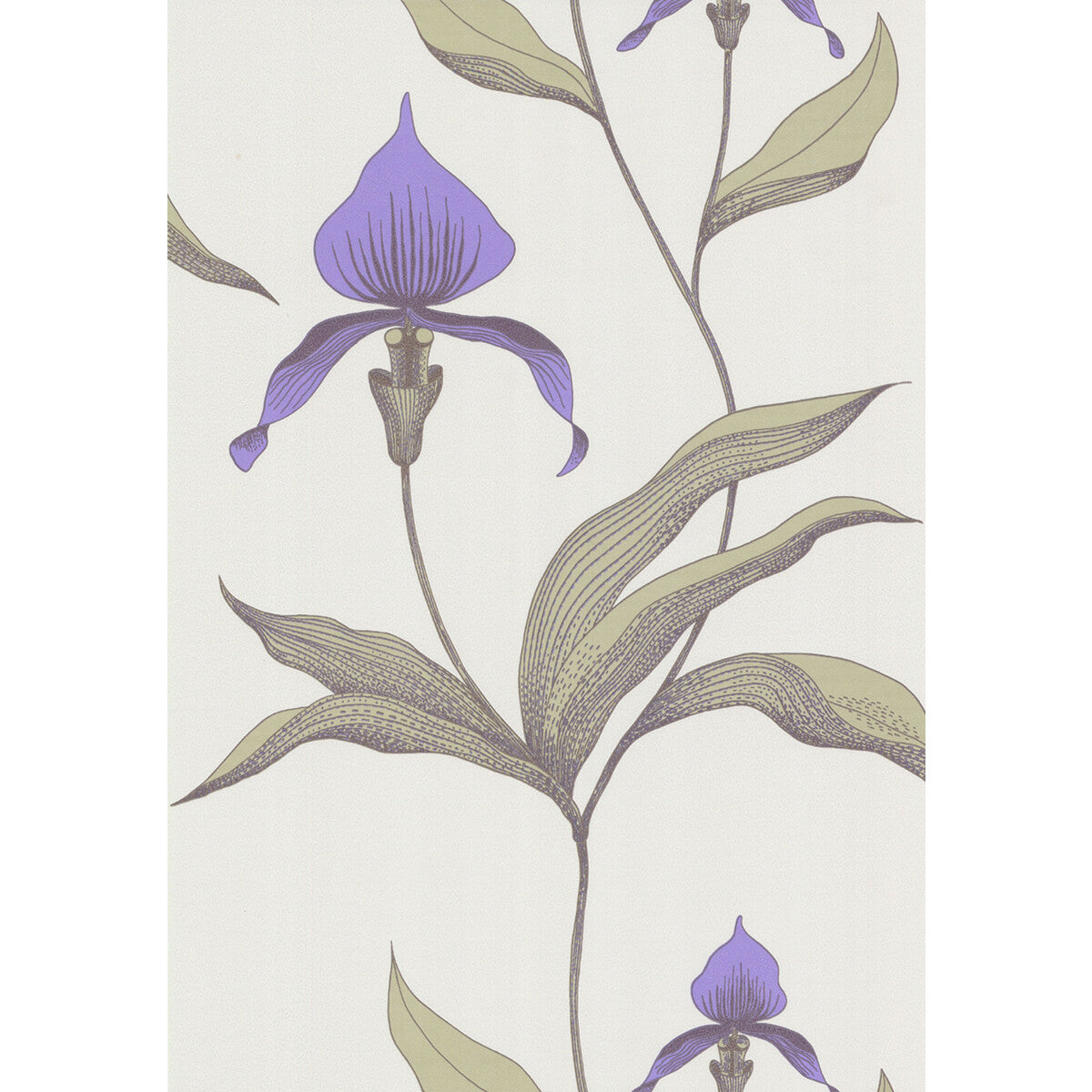 Orchid-White/M
