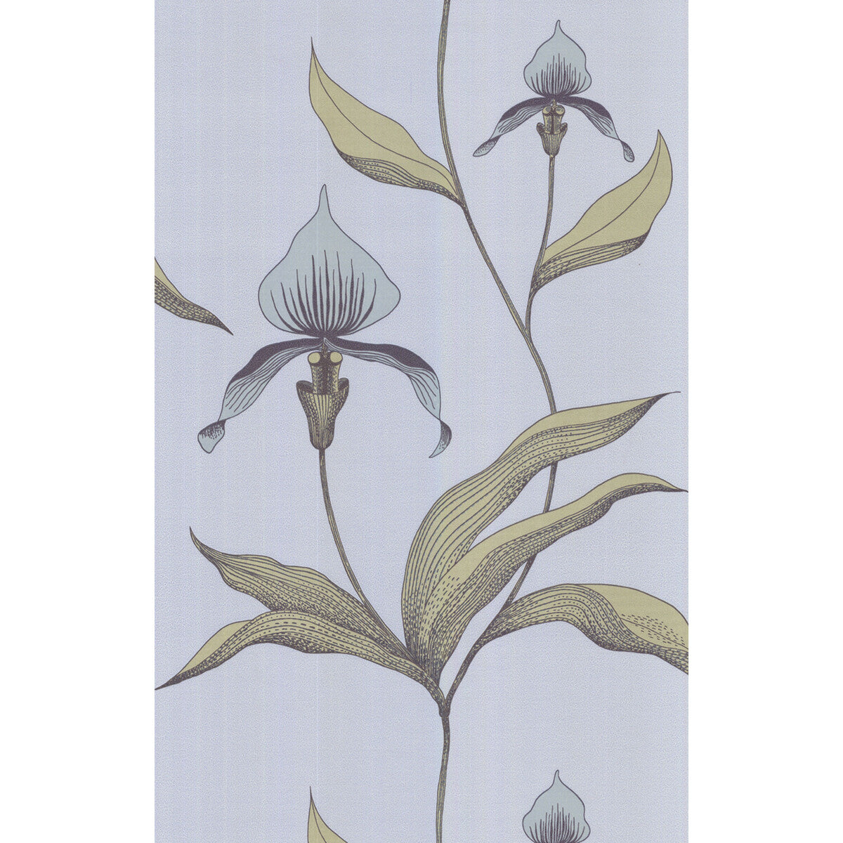 Orchid-Blue Gr