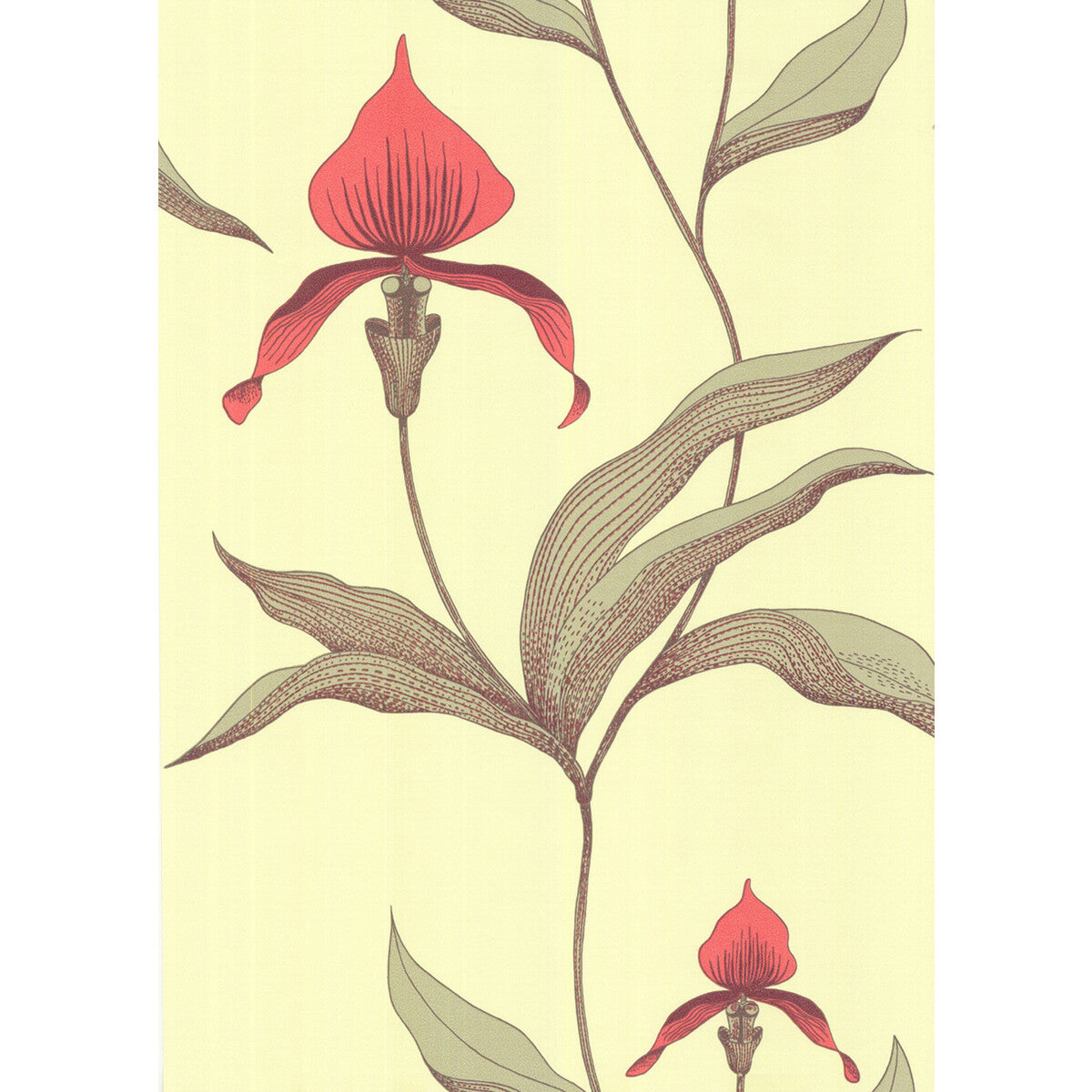 Orchid-Lime/Or