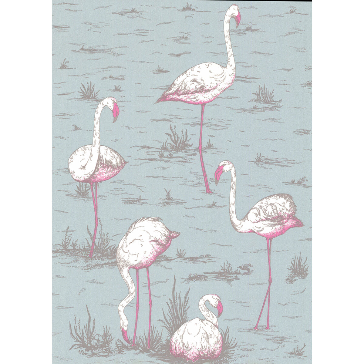 Flamingos-Oale Bl