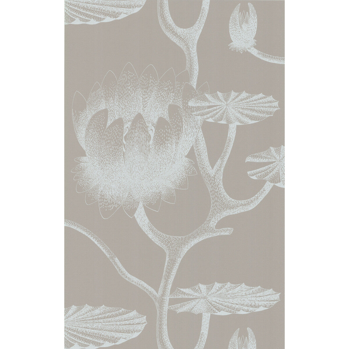 Lily-White/Grey