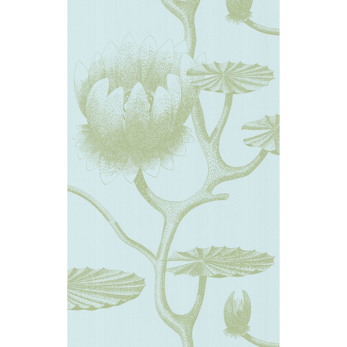Lily-Sage/Pale Blue