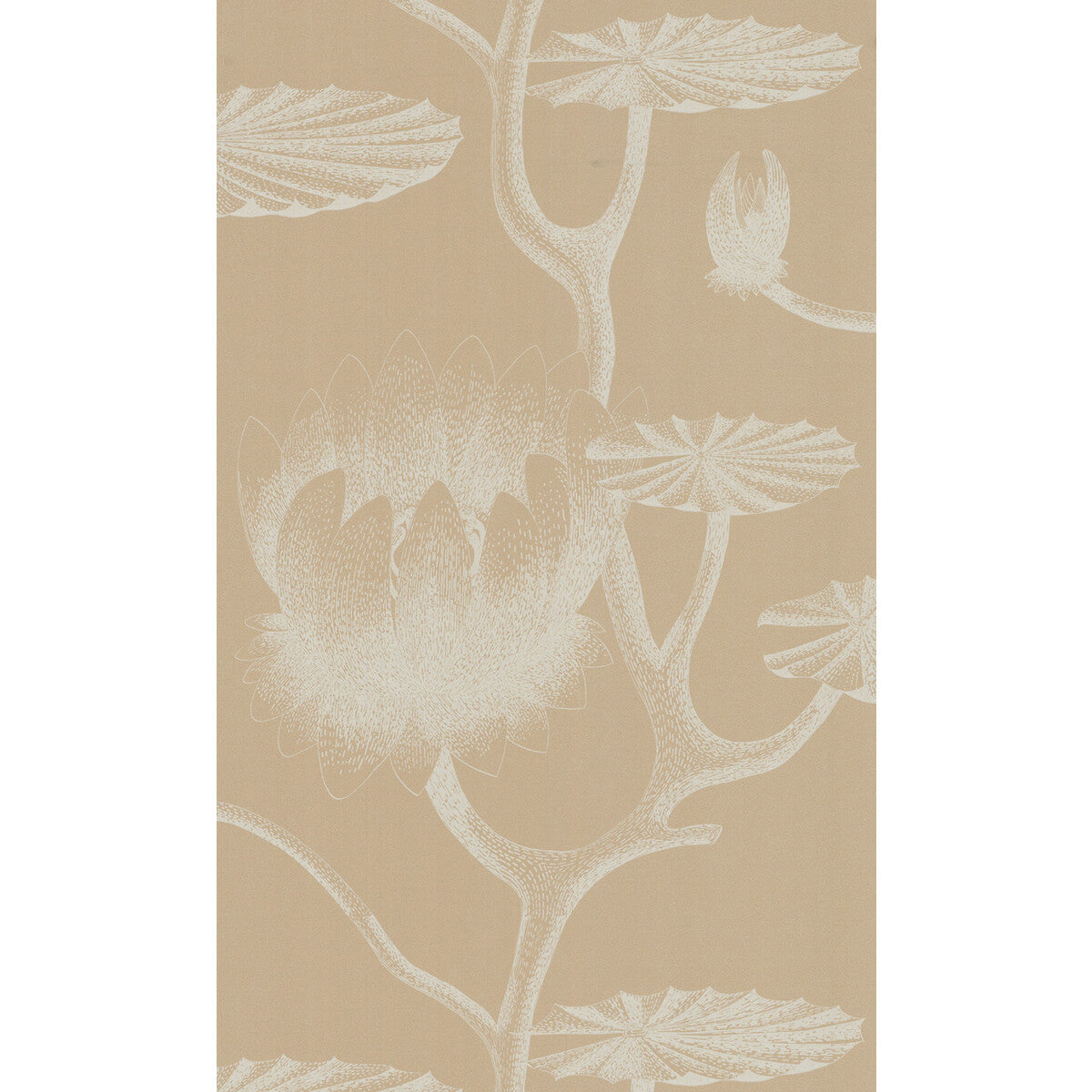 Lily-Ivory/Sand