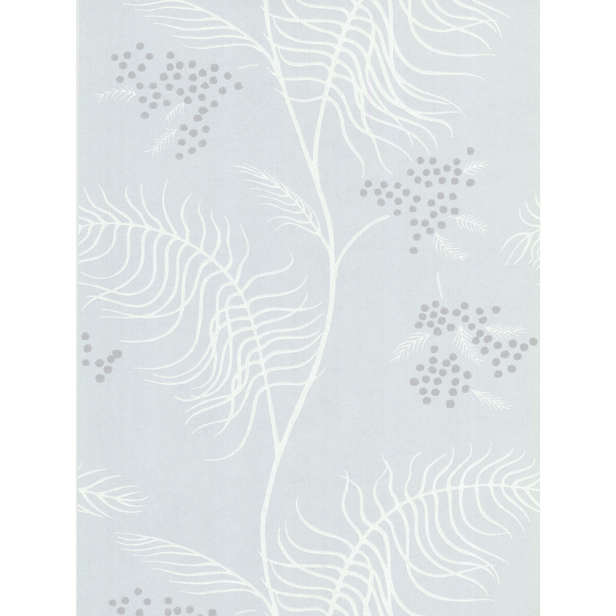 Mimosa-Slate