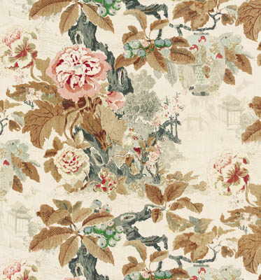 Chinese Lantern-Browns