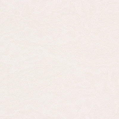 Kravet Basics-8656-1