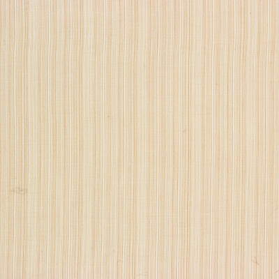 Strie-Oyster