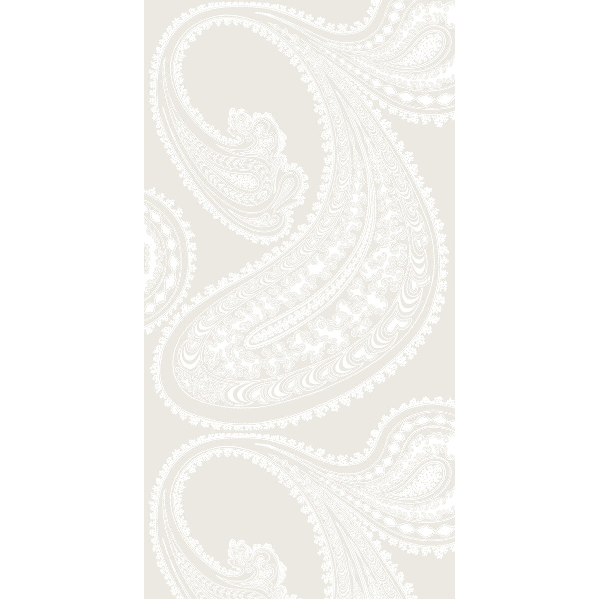 Rajapur-White/Shell