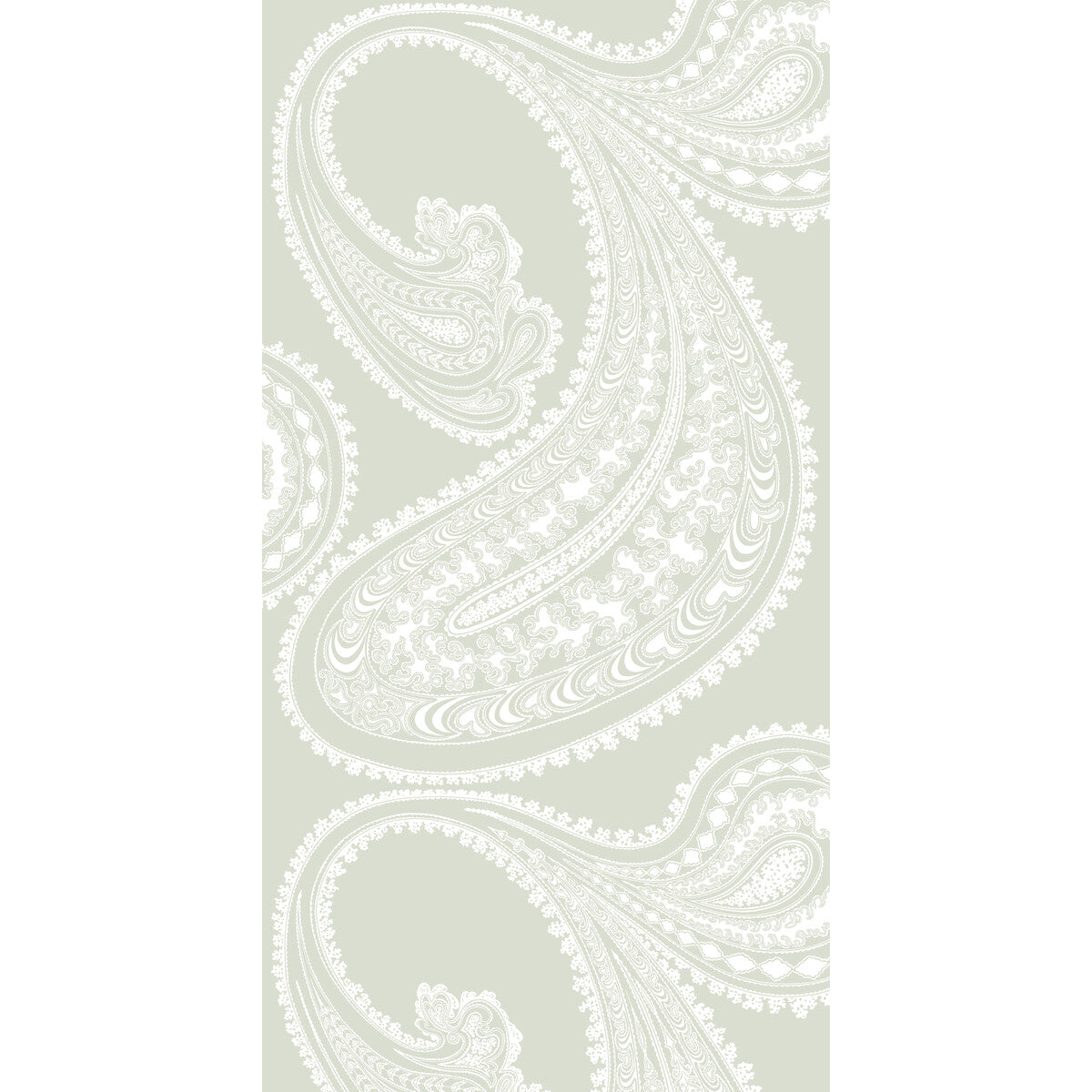 Rajapur-White/Olive