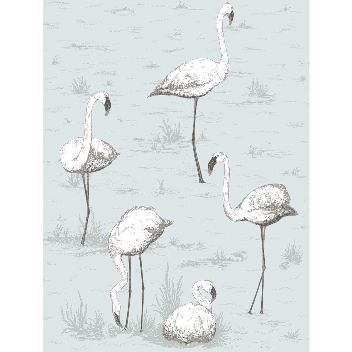 Flamingos-Charcoal/Aqua