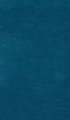 Queen Victoria-Navy