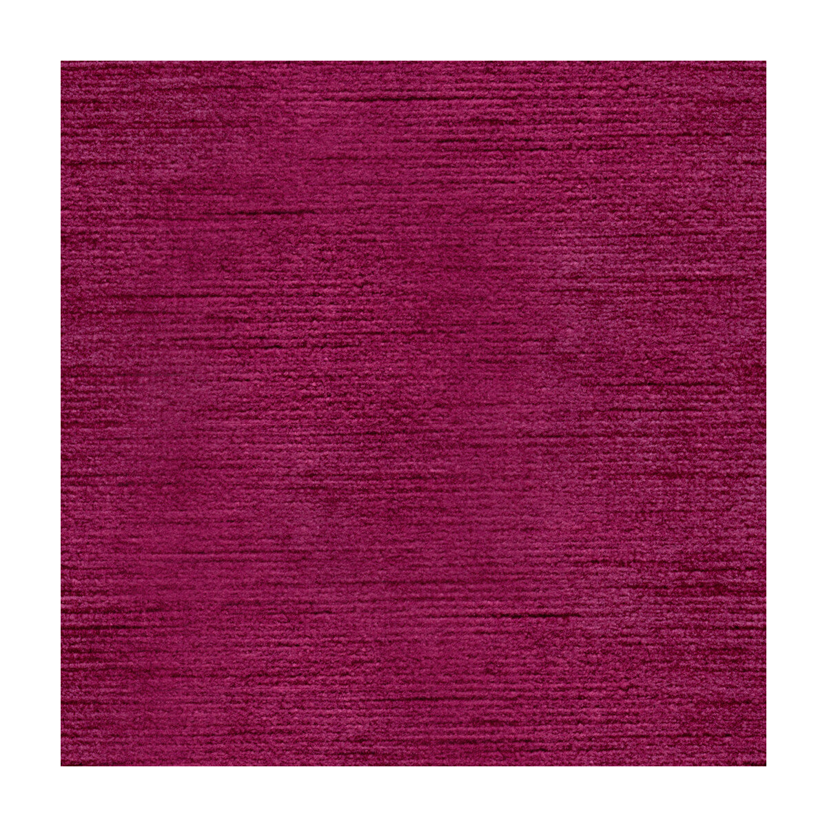Queen Victoria-Fuschia