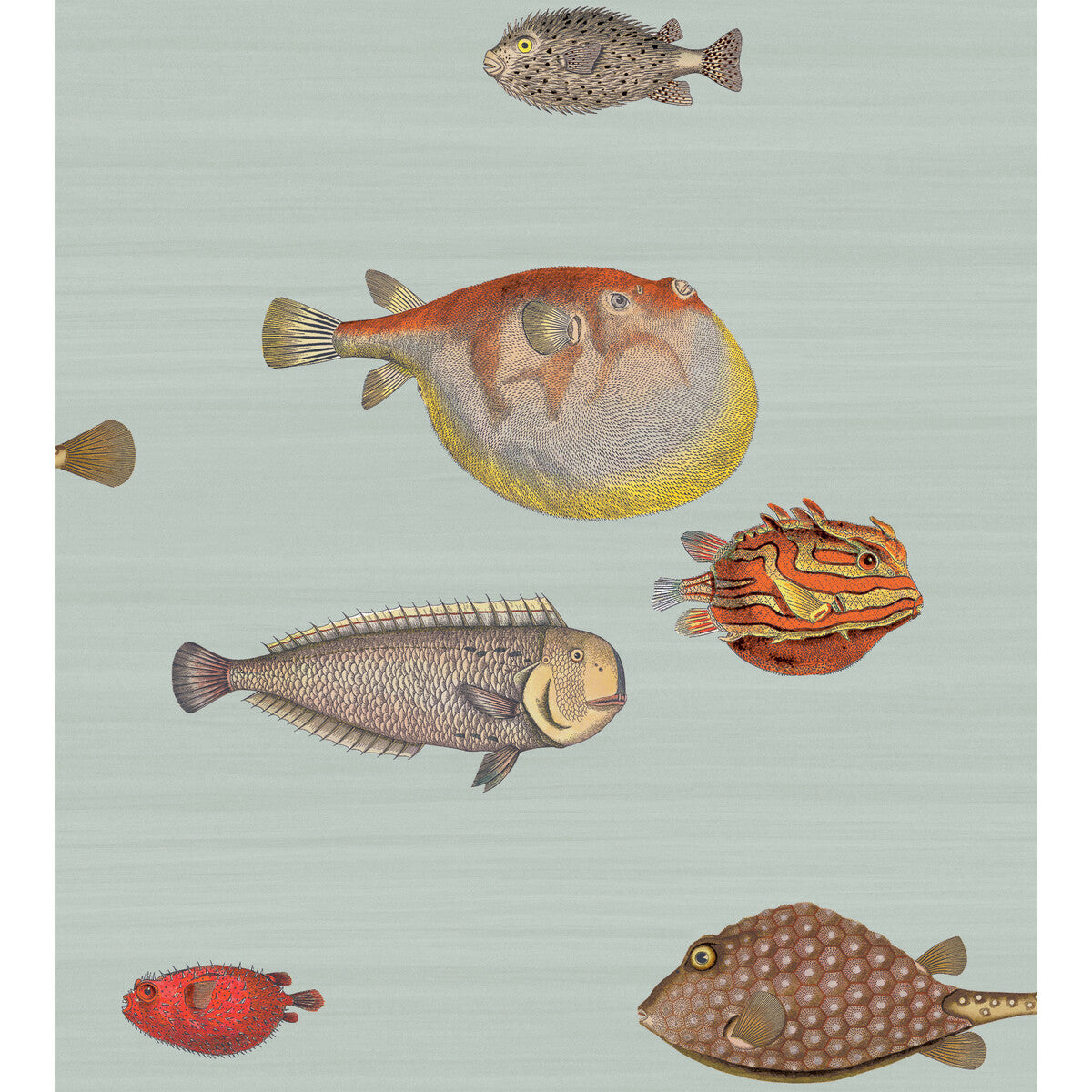 Acquario-Print Room Blue