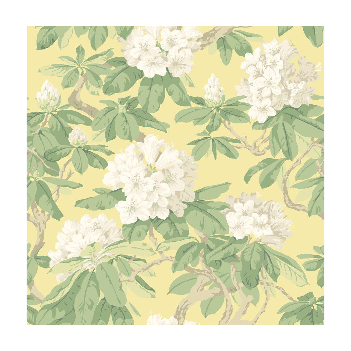 Bourlie-Pale Lemon