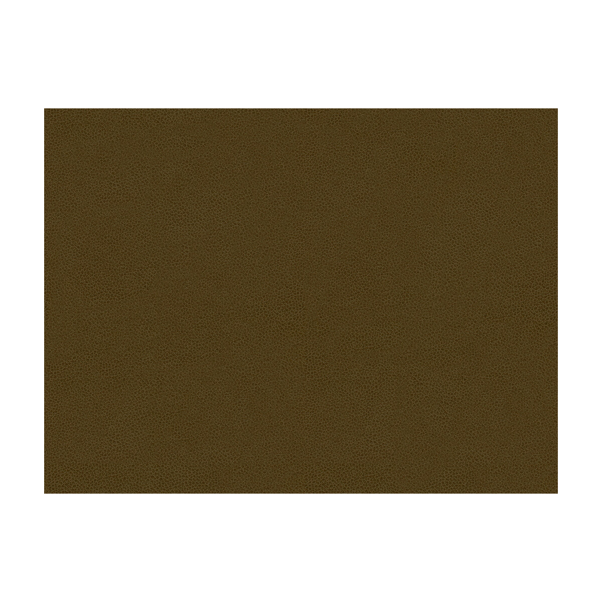Abilene-Bark