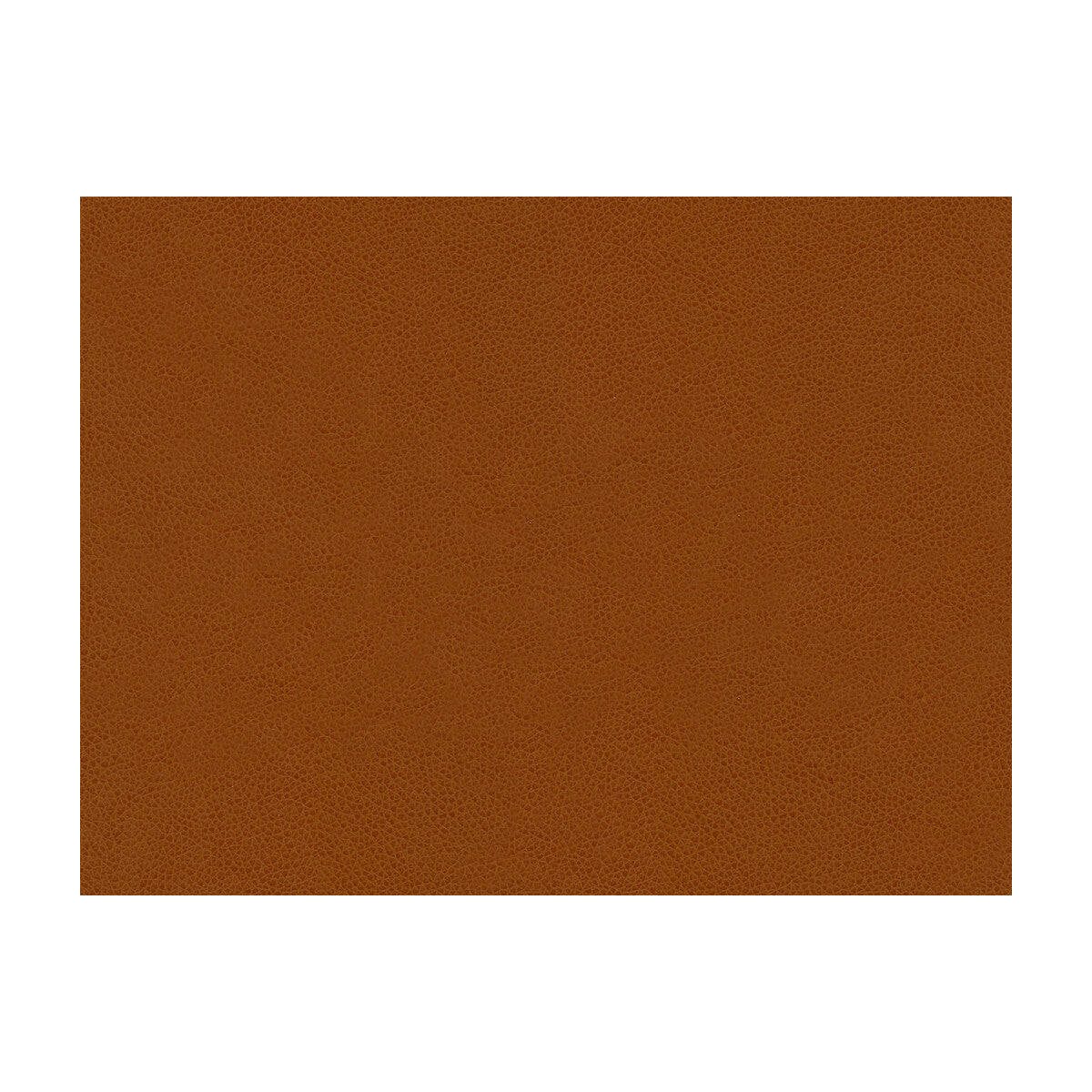 Abilene-Penny