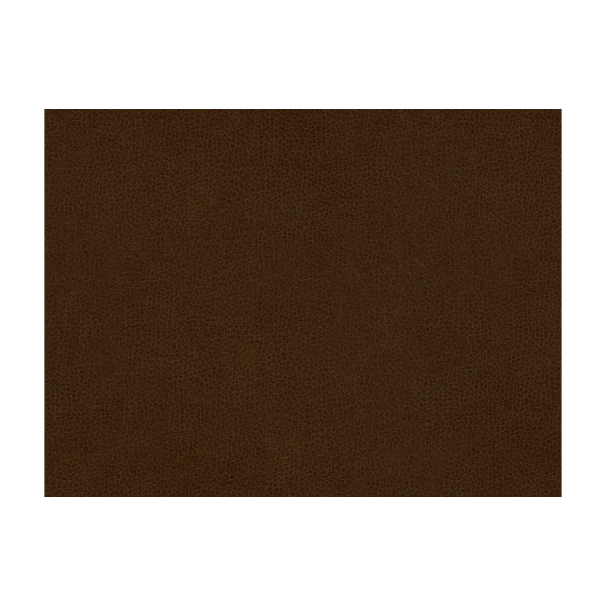 Abilene-Cocoa