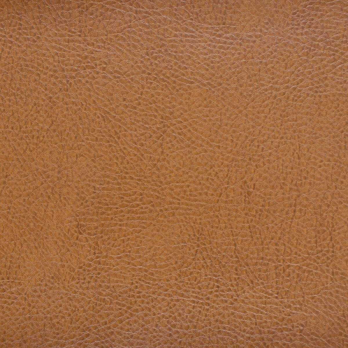 Kravet Design-Acoustic-6