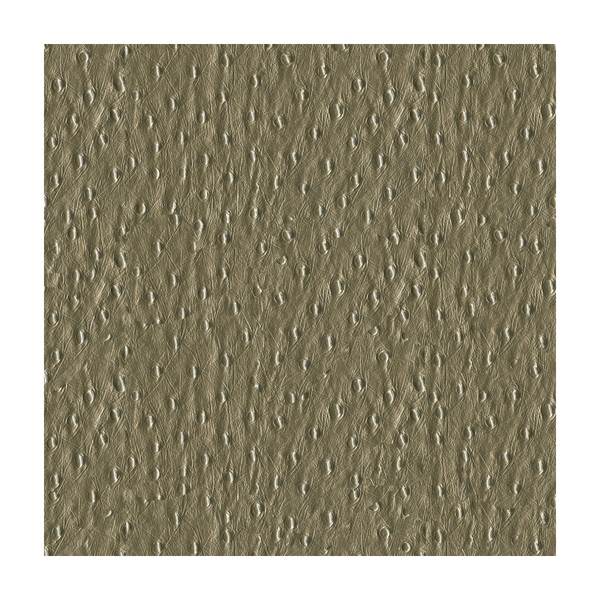 Kravet Smart-Adara-11
