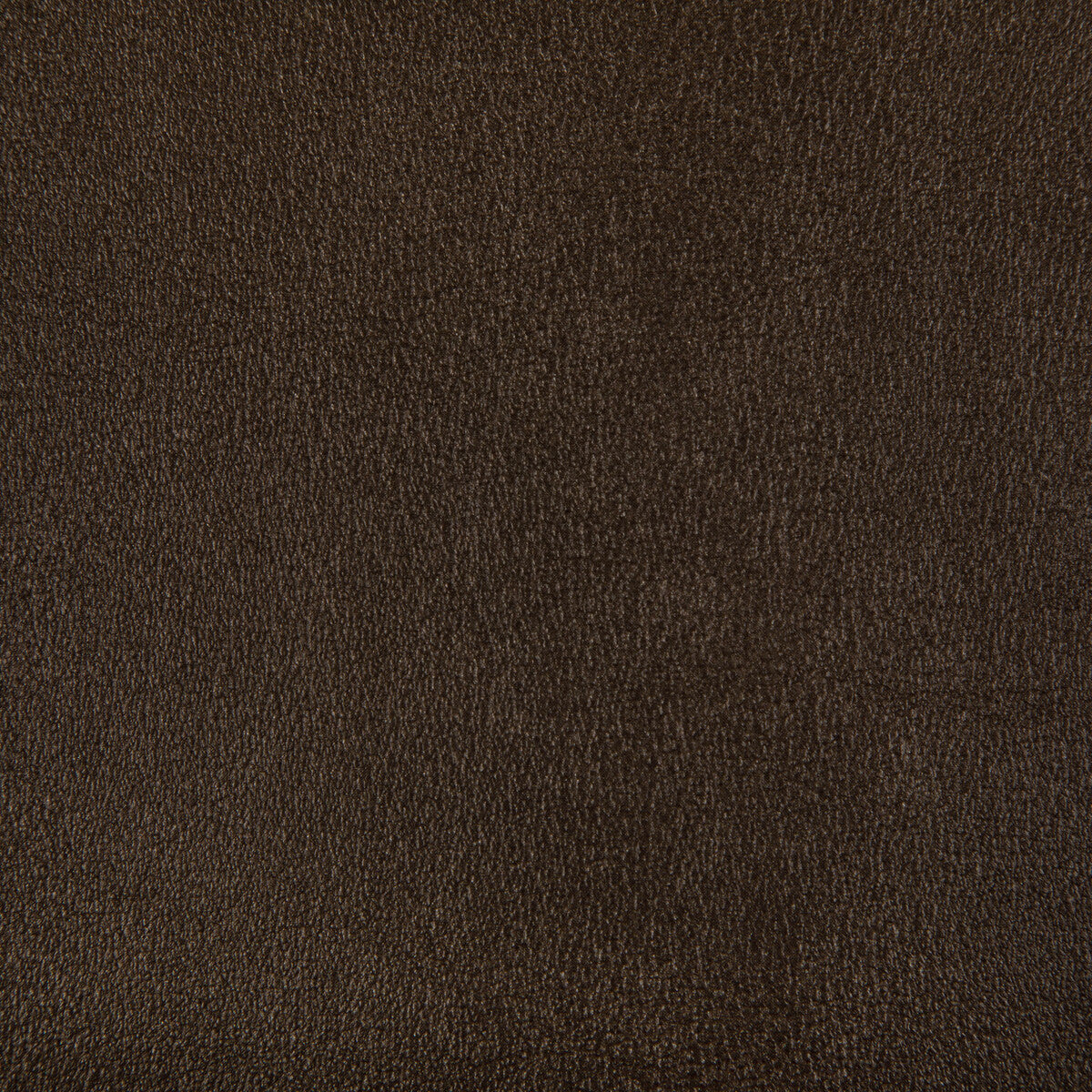 Agatha-Bronze