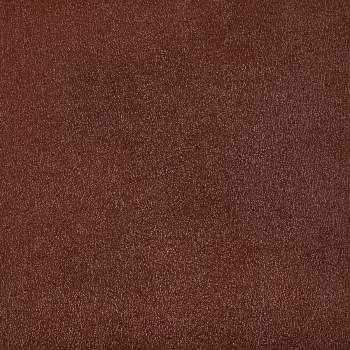 Agatha-Copper