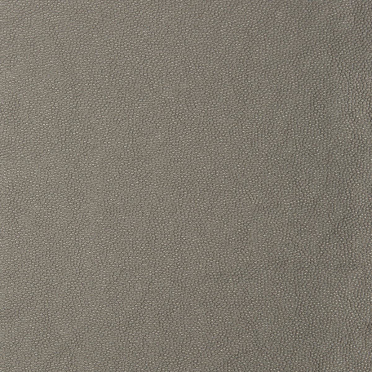 Kravet Smart-Aldwin-1121