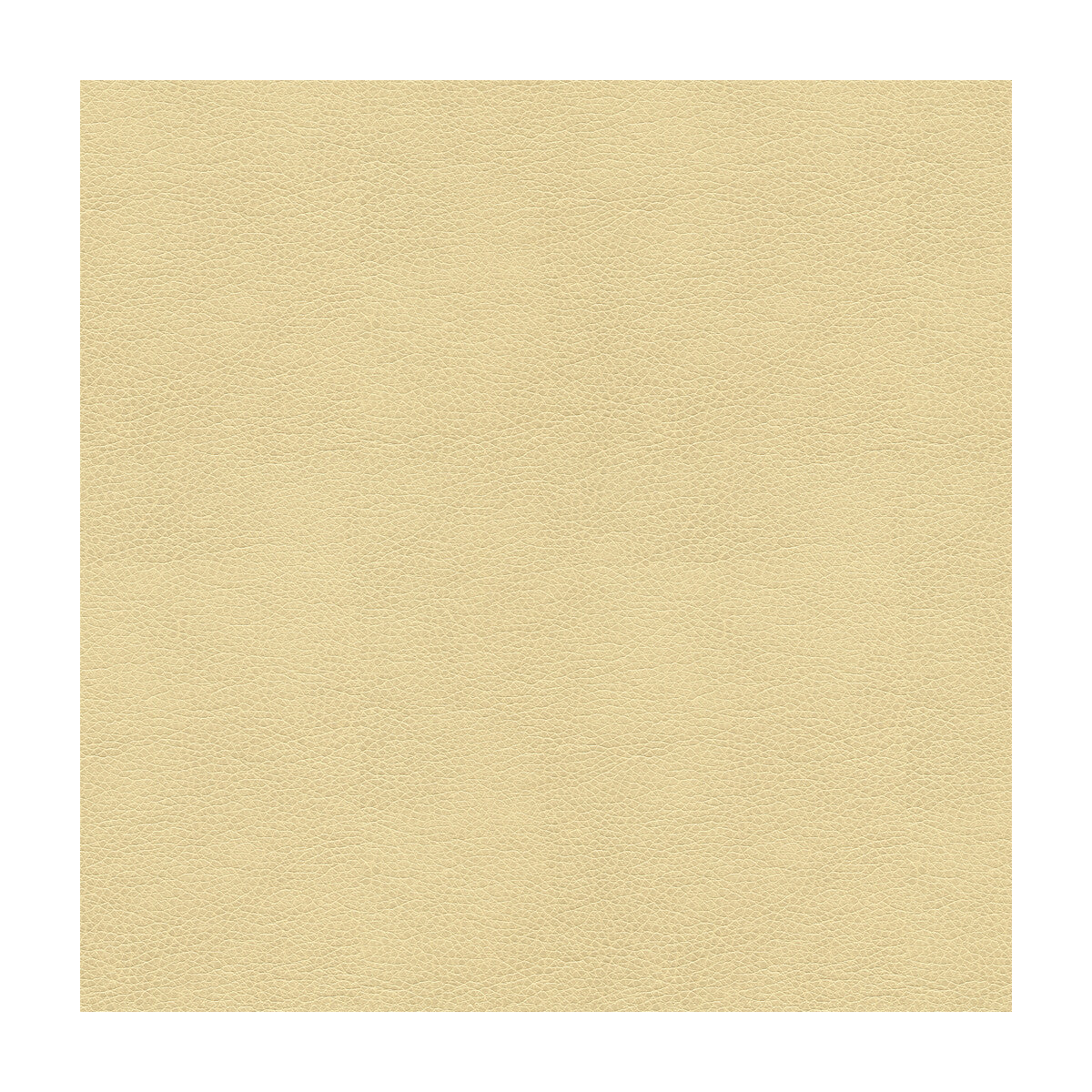 Kravet Smart-Alina-116