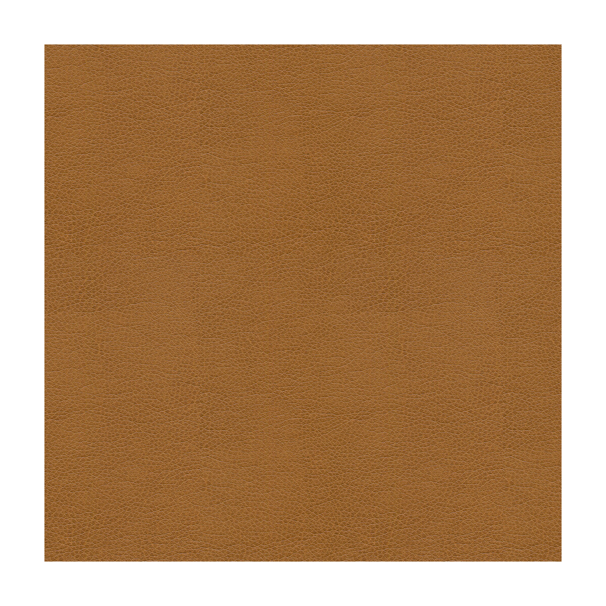 Kravet Smart-Alina-16
