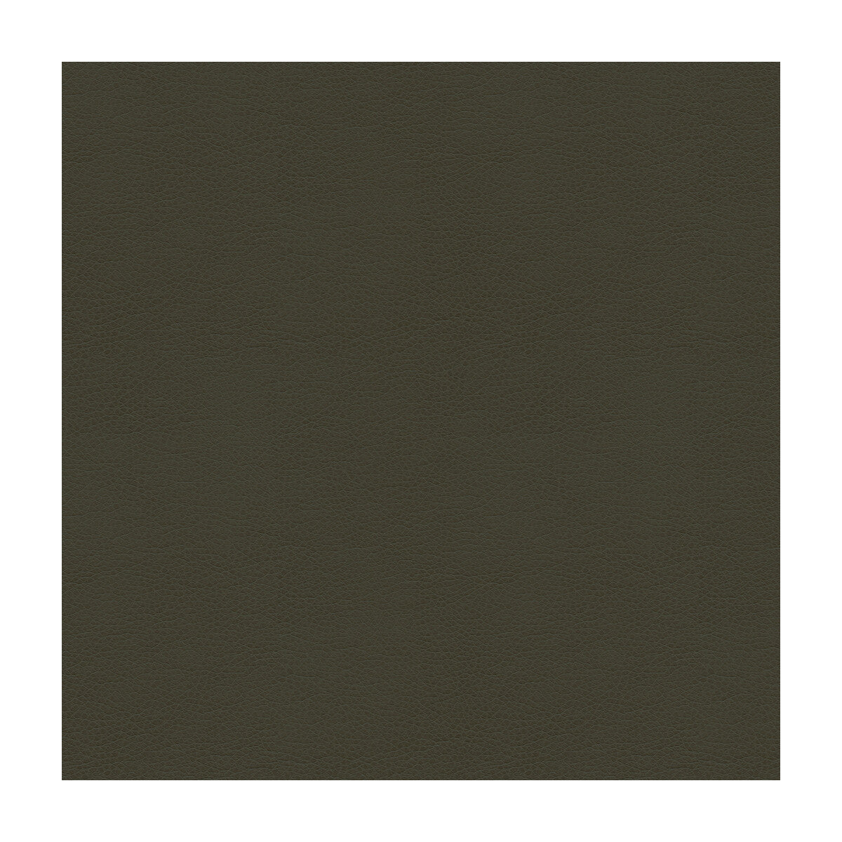 Kravet Smart-Alina-21