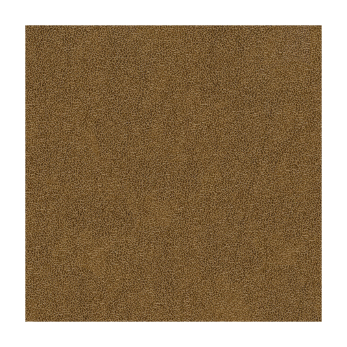 Kravet Smart-Alina-616