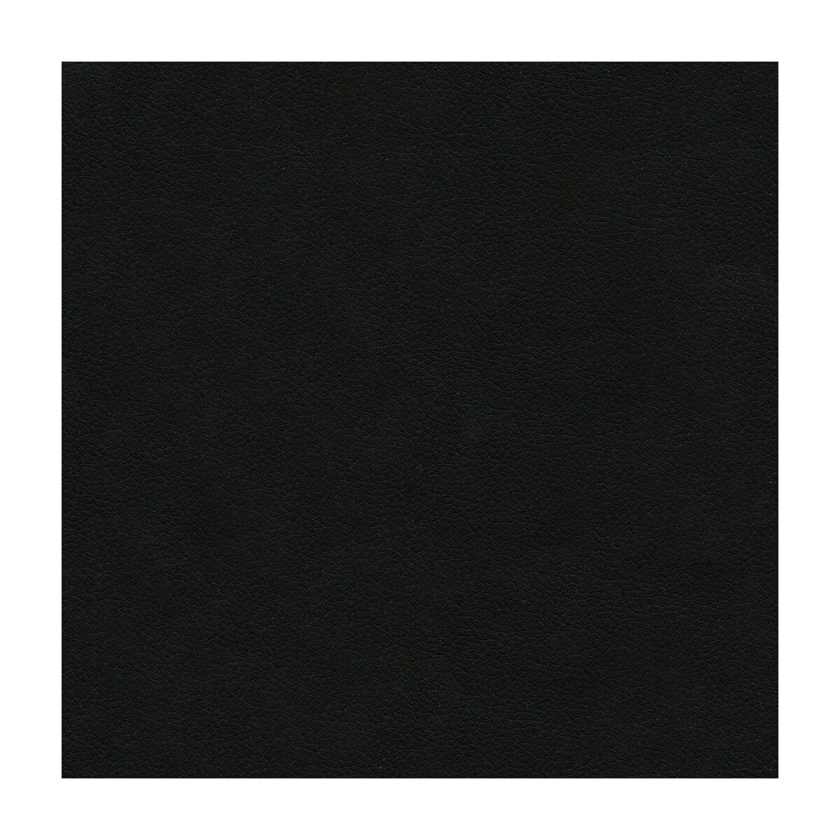 Kravet Design-Ali-8