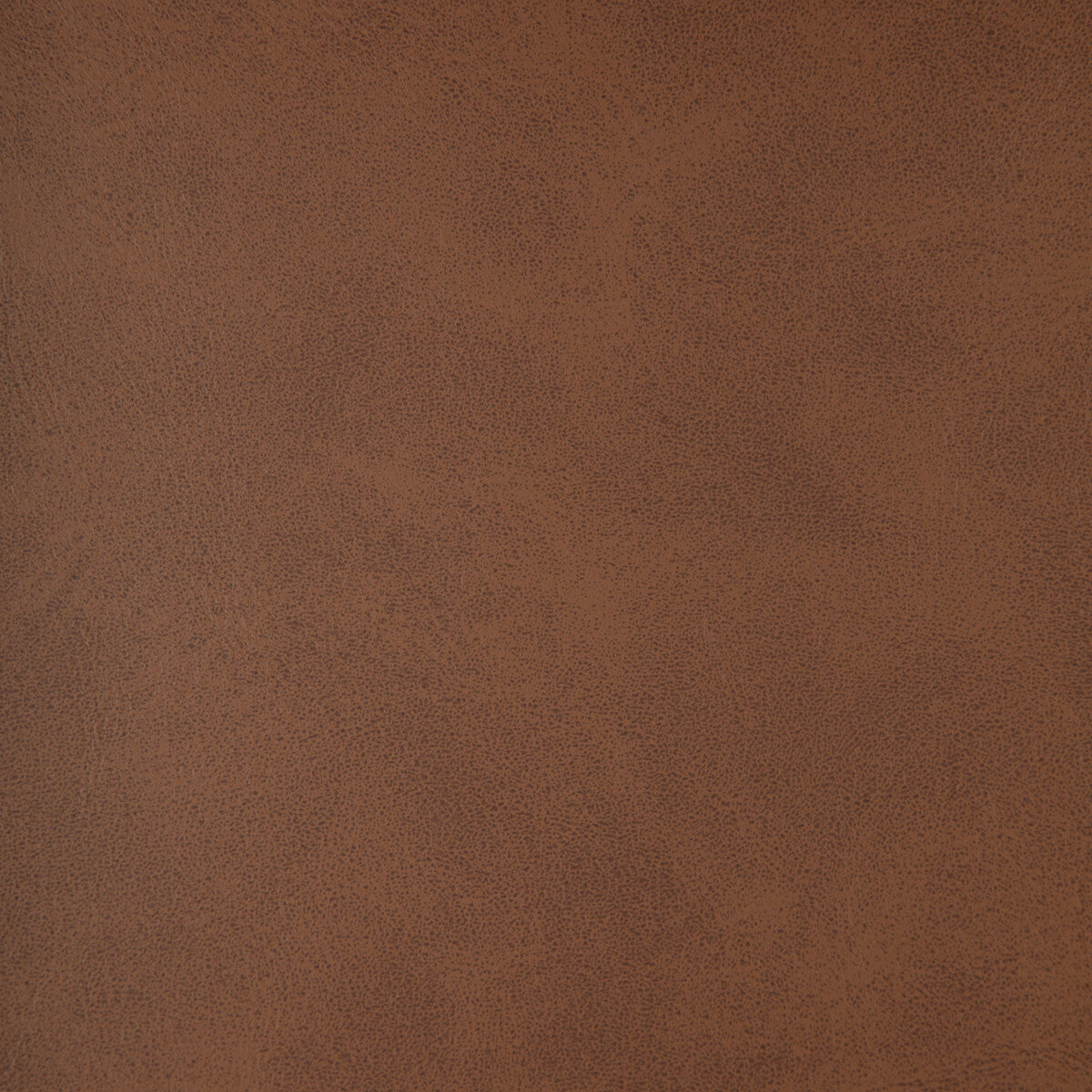 Kravet Design-Alum-6