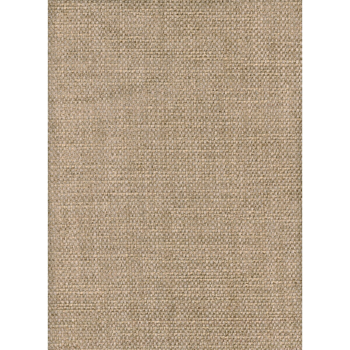 Paraggi-Wheat