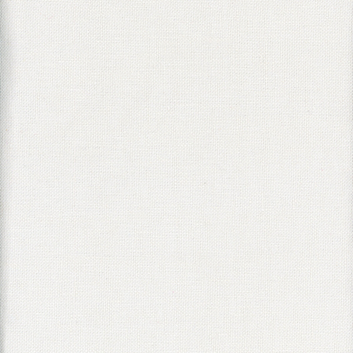 Beagle-Journal