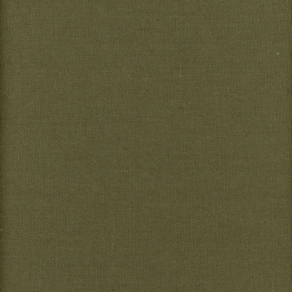 Beagle-Archipelago