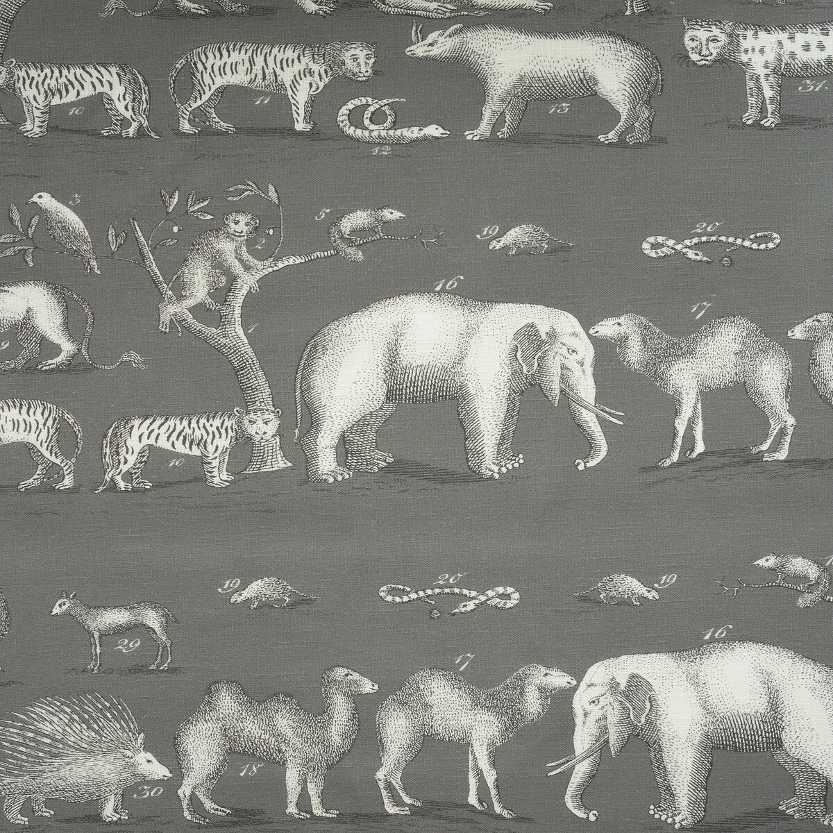 Kingdom Outdoor-Rock