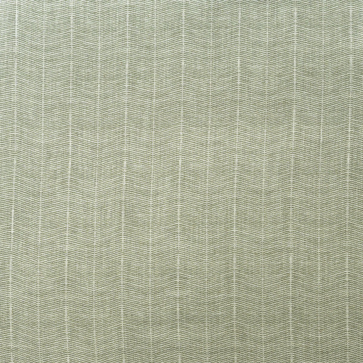 Furrow-Fennel