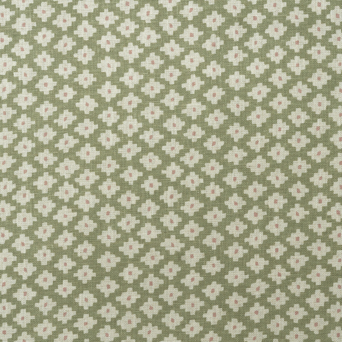 Maze-Fennel