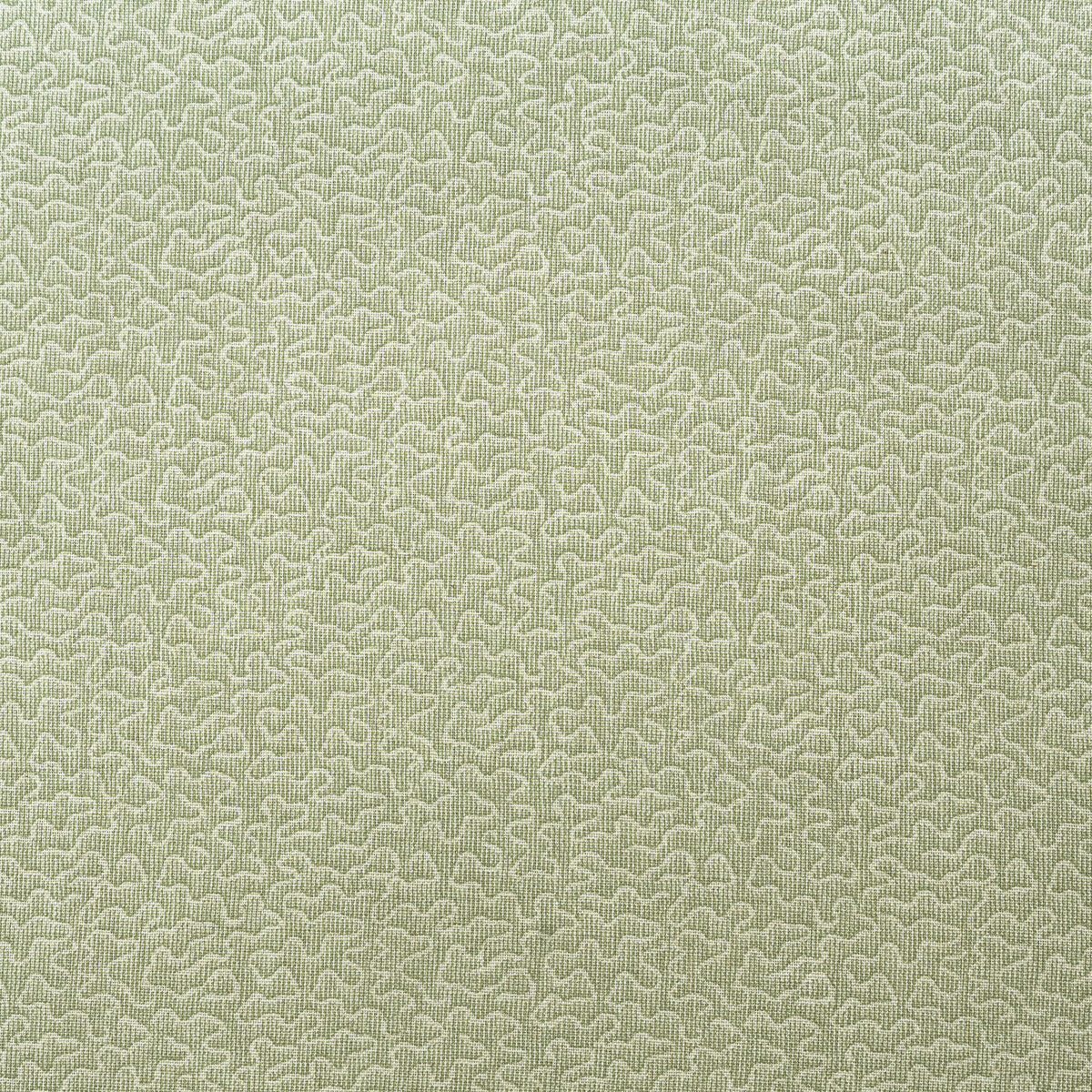 Pollen-Fennel