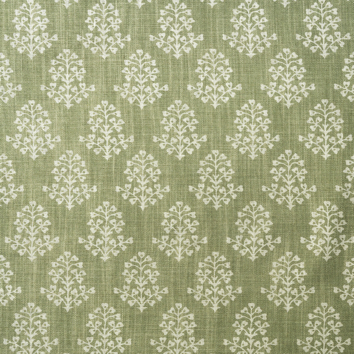 Sprig-Fennel