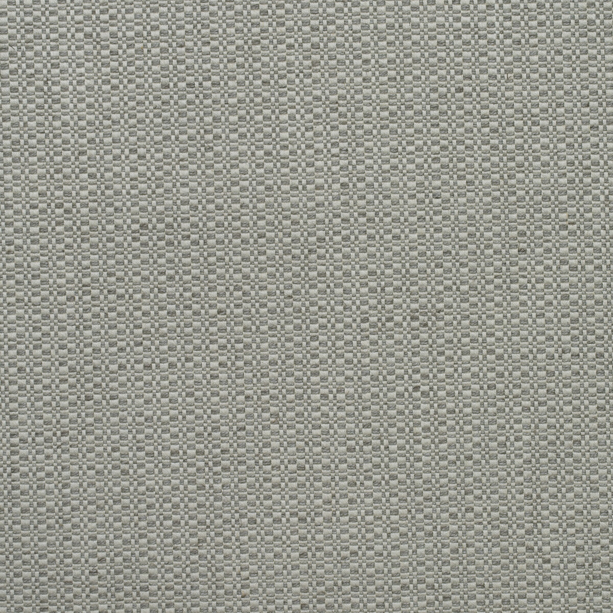 Birch-Fog